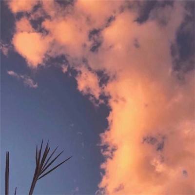 妙啊测试版游戏下载