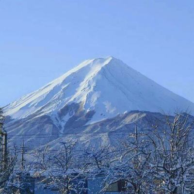 口袋妖怪go日服客户端下载